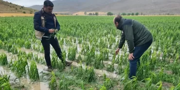 Bayburt'ta Dolu, Yağmur ve Sel Baskını, 4000 Dekar Ekili Alan Zarar Gördü!