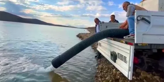 Bayburt’ta 574 Bin Balık Yavrusu Göletlere Bırakıldı