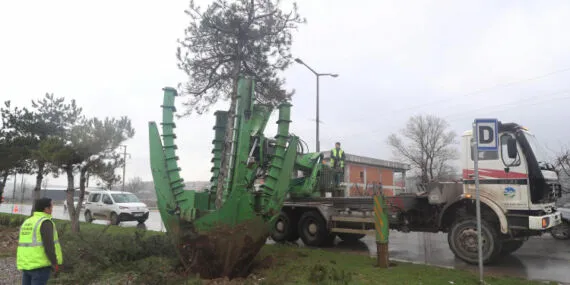 Sakarya Büyükşehir'den 'yeşil' hassasiyet
