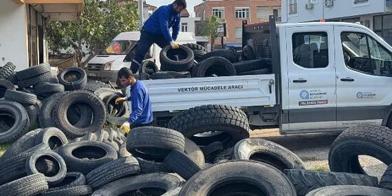 Sineklerin üreme alanı lastikler toplanıyor