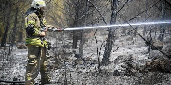 Yangınların bir yıllık ağır bilançosu İzmir’de 16 bin yangının 7 bin 200’ü sigara kaynaklı