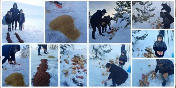 Bayburt Öğrencileri, Kışın Zorlanan Dostlarımızı Unutmadı