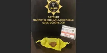 Bayburt'ta Bonzai Operasyonu: 1 Şüpheli Yakalandı!