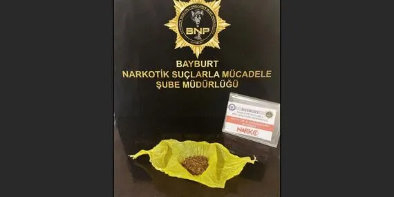 Bayburt’ta Bonzai Operasyonu: 1 Şüpheli Yakalandı!