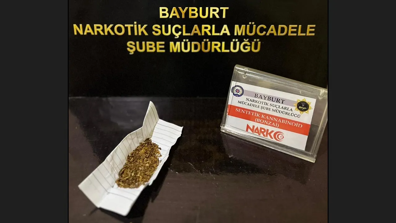 Bayburt'ta Bonzai Operasyonu: Bir Kişi Yakalandı!