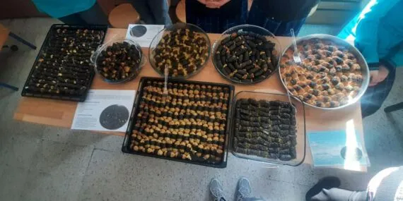 Bayburt’un Gizli Kalmış Lezzetleri Aydıntepe’de Gün Yüzüne Çıktı!