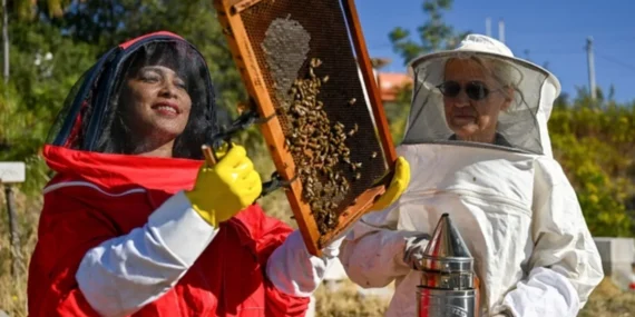 Bornova’da arıcılık kursuna kayıtlar başladı