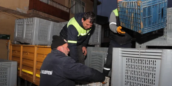 Bursa Gemlikli çiftçinin yüzü gülüyor