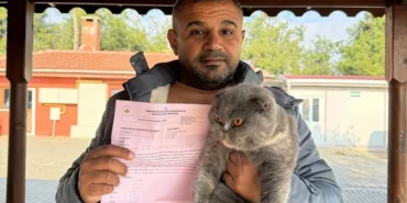 Bursa Osmangazi'de can dostlar sıcak yuvalara kavuştu