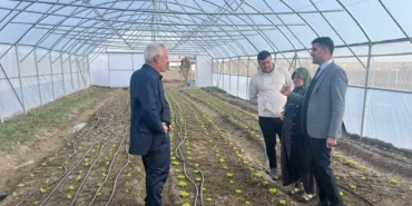 Esetçe'nin umut ışığı Meryem Teyze modern tarımla öne çıkıyor