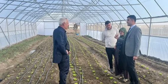 Esetçe'nin umut ışığı Meryem Teyze modern tarımla öne çıkıyor