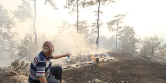 Muğla 'her kapıda bir fidan'la toprağa sahip çıkıyor