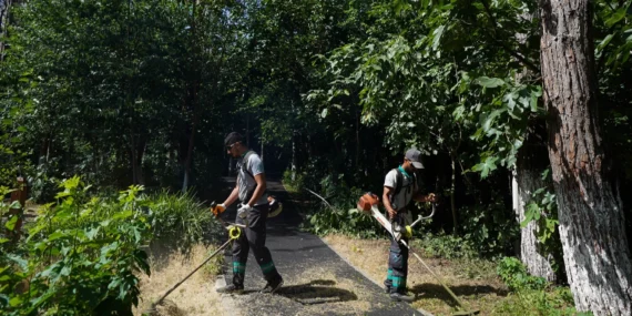 İstanbul Beylikdüzü’nde 2024'te yeşil alan ve altyapı atağı