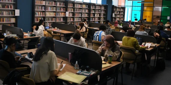 Kitap kahveler, 2024’te ziyaretçi akınına uğradı