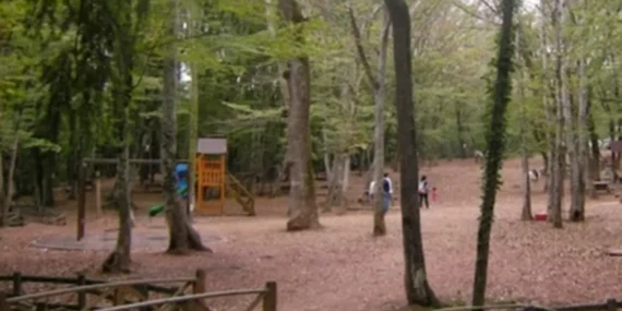 Tarım ve Orman Bakanlığı'ndan 'Belgrad' açıklaması