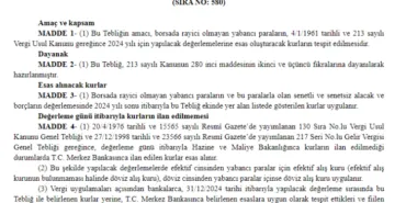 2024 yılına ilişkin esas kurlar 'Resmi'leşti haberi