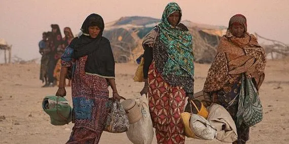 Akbank Sanat & Eko Film "Film ve Sürdürülebilirlik" Gösterim ve Söyleşi Programı haberi