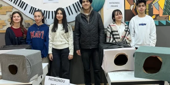 Ankara'da sokak kedilerine öğrencilerden 'patikondu' haberi