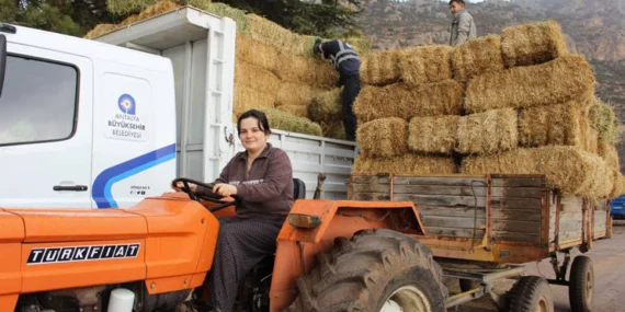 Antalya Elmalı Yuva’da saman desteği afetzedelerin yüzünü güldürdü haberi