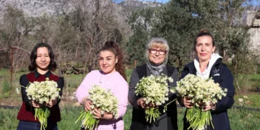 Antalya'da kadın üreticilere mis kokulu destek haberi