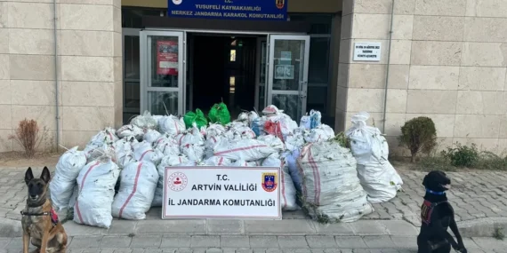 Artvin Jandarması 2024'te olayların yüzde 98'ini aydınlattı haberi