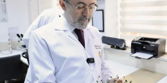 Ata tohumları ulaşılabilir hale geliyor… Tescilli tohum sayısı 49'a çıkacak haberi