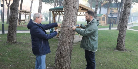 BTÜ’de orman envanterine katkı sağlayacak proje geliştiriliyor haberi