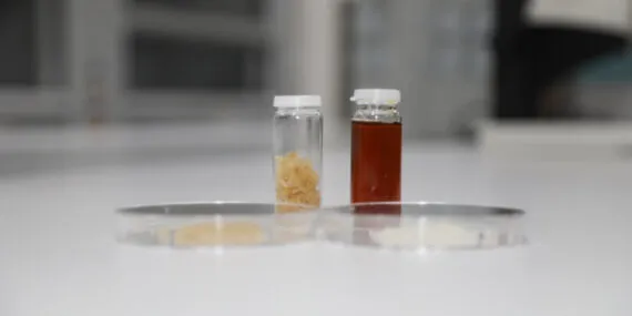 BTÜ’den bağırsak sağlığını destekleyen yeni gıda takviyesi haberi