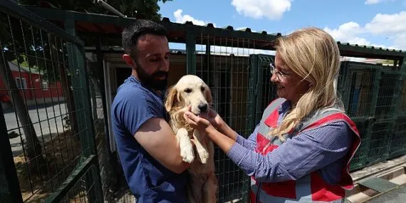 Bakırköy Belediyesi İnsan, Çevre ve Sokak Canlılarının Sağlığı İçin Çalıştı haberi