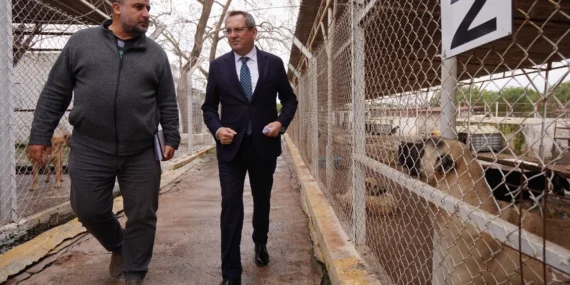 Balıkesir  Ayvalık can dostların yanında haberi