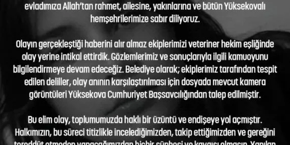 Başıboş köpekler 12 yaşındaki çocuğu katletti! Mülkiye Başmüfettişi görevlendirildi haberi