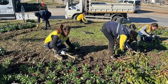 Başkan Çerçioğlu Didim’i Rengarenk Çiçeklerle Süslüyor haberi
