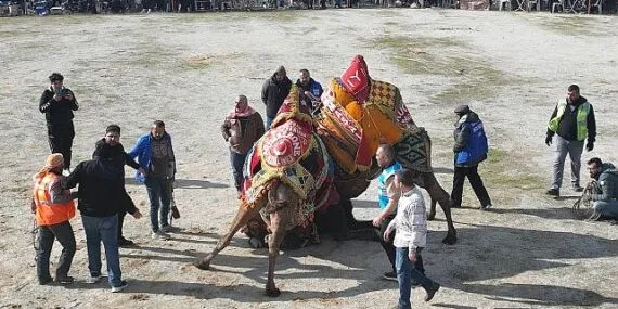 Burhaniye’de Hasat Festivali İçin Geri Sayım Başladı haberi