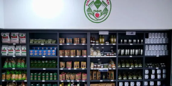 Bursa Gemlik’in zeytinyağları Giresun'da haberi