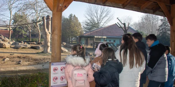 Bursa Karacabey Belediyesi'nden genç sporculara kültürel gezi haberi