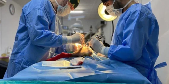 Bursa Osmangazi’de ayda ortalama 200 kedi kısırlaştırılıyor haberi