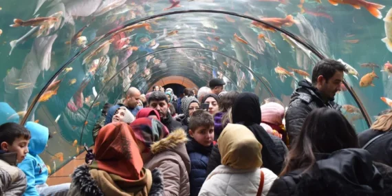 Bursa Yıldırım'dan çocuklara karne hediyesi haberi