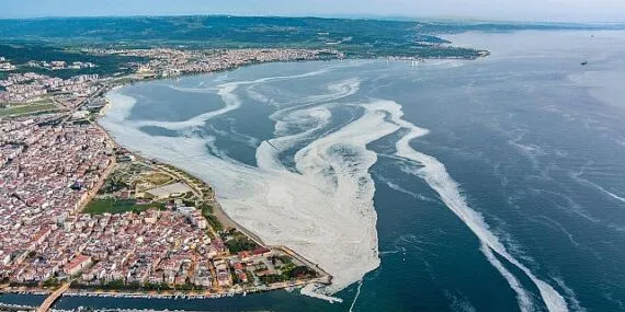 Büyükakın, İBB'ye bir kez daha seslendi: Arıtma tesislerini yapın haberi