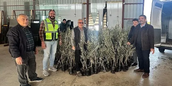 Büyükşehir'den Alanyalı üreticilere fidan desteği haberi