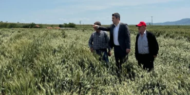 CHP Keşan’dan 6 aydır ödenmeyen buğday desteklemelerine tepki haberi