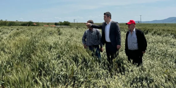 CHP Keşan’dan 6 aydır ödenmeyen buğday desteklemelerine tepki haberi