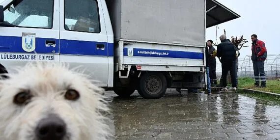 Dayanışmanın en güzel örneği haberi