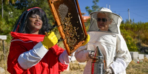 Doğayı koruma ve yerel üretime tam destek haberi