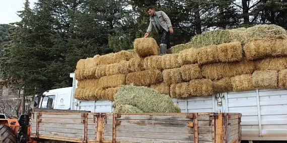 Elmalı Yuva'da saman desteği afetzedelerin yüzünü güldürdü haberi