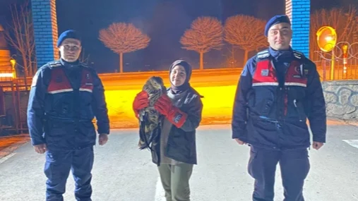 Eskişehir'de yaralı kızıl şahin tedaviye alındı haberi