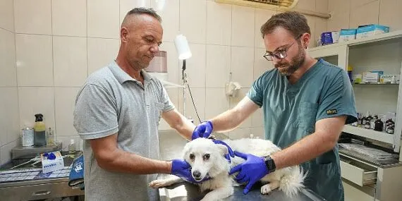 Gaziemir Belediyesi’nden 6 bin 222 can dosta şefkat eli