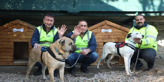 İETT'nin patili dostlar ailesi büyüyor haberi