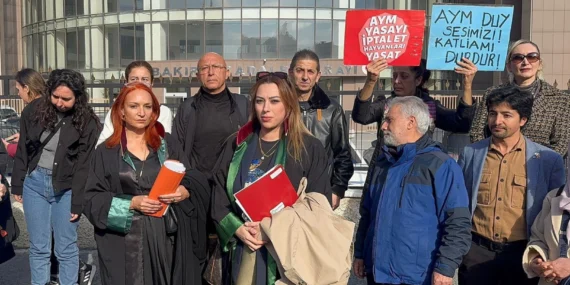 İstanbul Bakırköy'de köpeğe istismar davası sonuçlandı! haberi