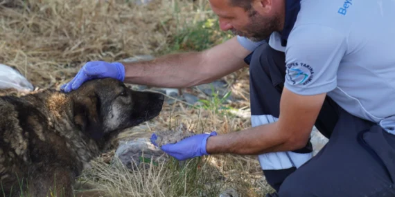 İstanbul Beylikdüzü’nde duyarlılık örneği haberi