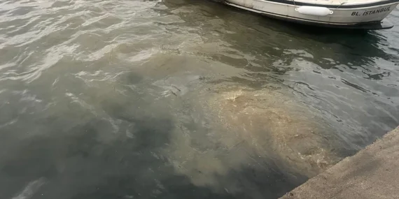 İstanbul Üsküdar'da atık su deşarjına inceleme! haberi